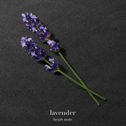 EMPORIO ARMANI - STRONGER WITH YOU ABSOLUTELY